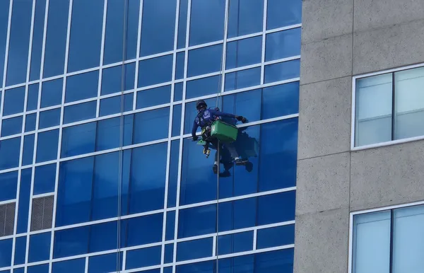 Rope-access commercial window cleaning on a multi-storey glass building